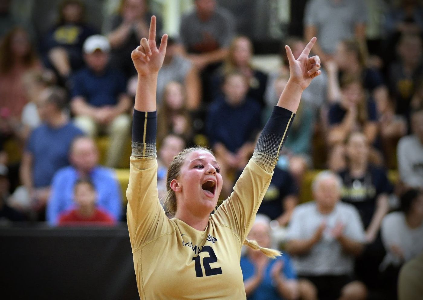 Hermantown volleyball archives