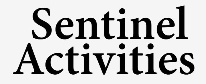 Stella Maris Academy presents The Wizard of Oz spring musical