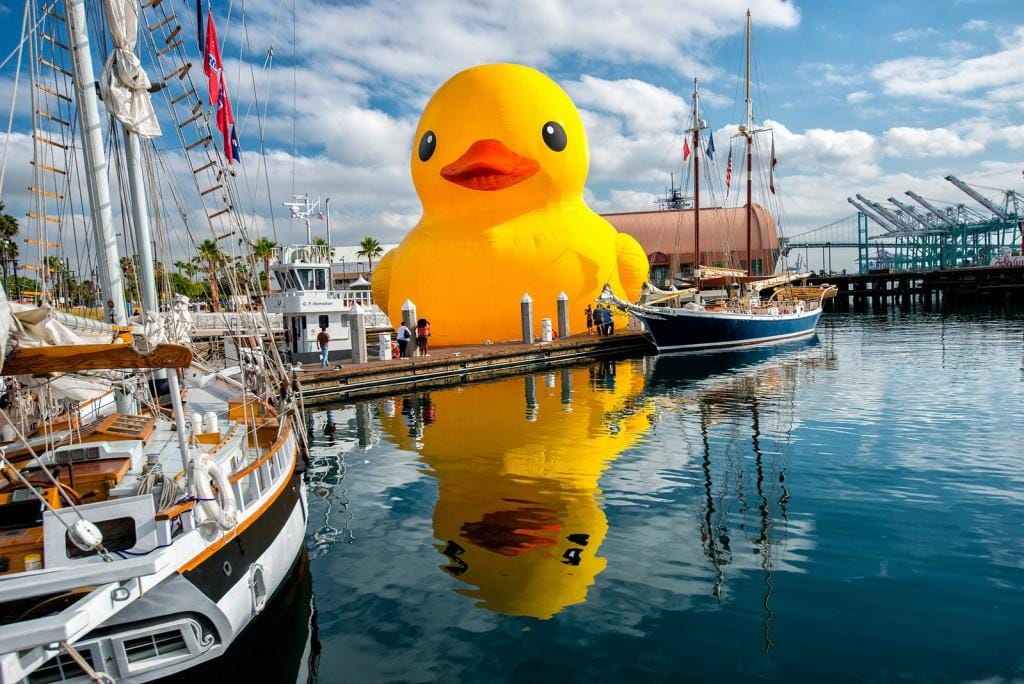 Breaking Events News: Mama Duck on her way back to Duluth