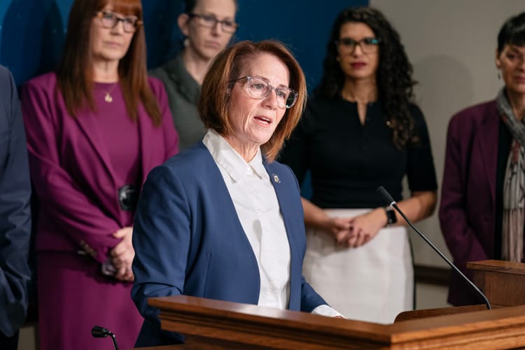 Minnesota Senate Democrats propose budget cuts amid bleak financial outlook